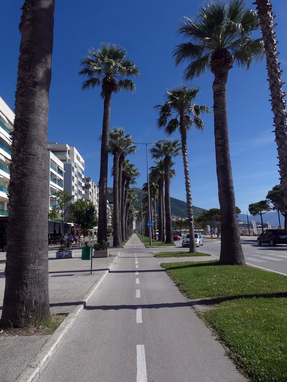 Droga rowerowa i chodnik w szpalerze palm we Vlorze