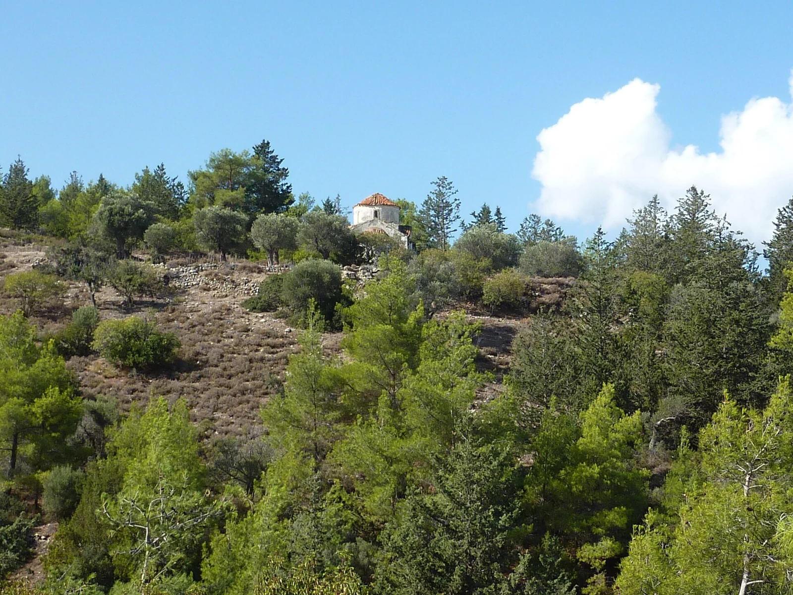 Drzewa, skalisty stok i kaplica Panagia Ypati w rejonie Esentepe