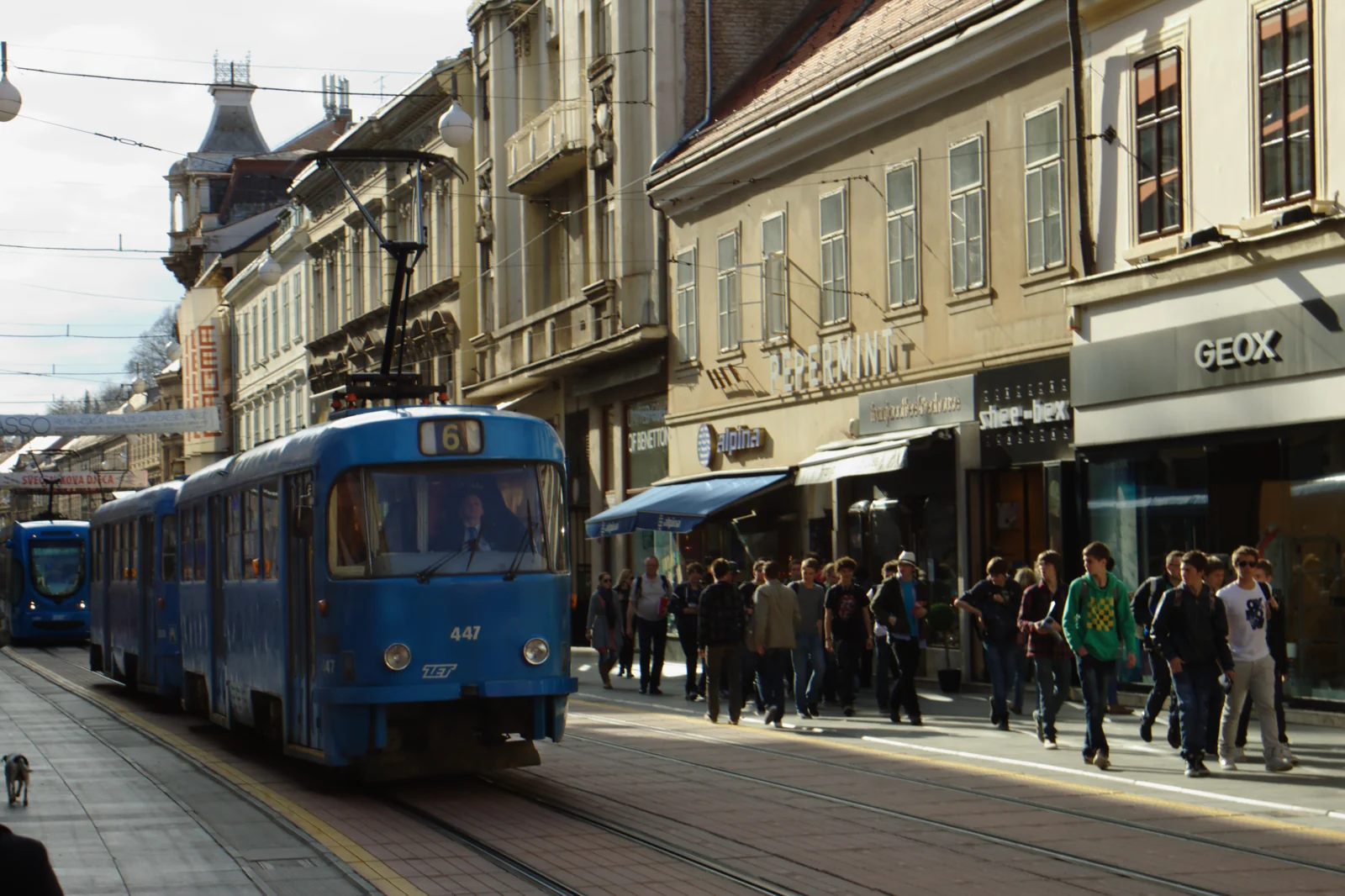 Tramwaj na ulicy Ilica w Zagrzebiu